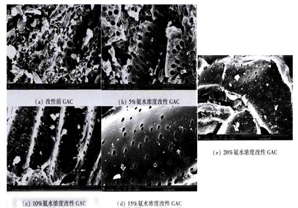 氨水深度對煤質(zhì)顆?；钚蕴勘砻嫘蚊驳挠绊? width=